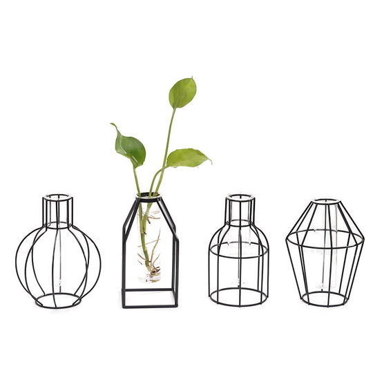 Nordic simple geometric wrought iron transparent glass hydroponic vase decoration living room dried flower flower arrangement