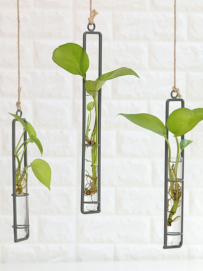 Creative Iron Glass Vase Living Room Wall Decorations Water Sprinkler Green Vegetables Container