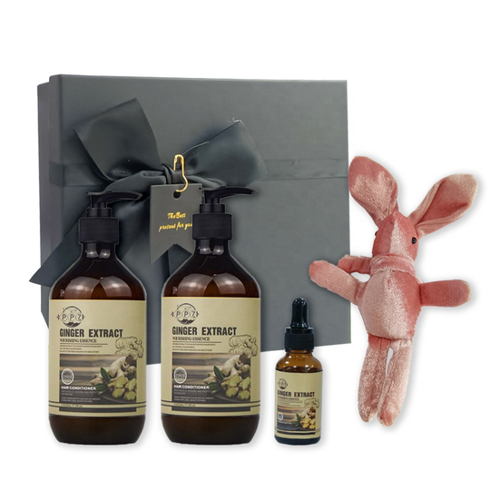 Lidercare Organic oil-control anti-dangdruff Anti-hair loss shampoo Hair Growth Ginger Hair shampoo gift Set for Christmas