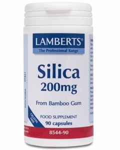 Lamberts Silica, 200mg, 90Caps