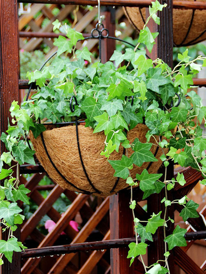 Creative Iron Wall Mount Planter with eco-friendly Coconut Liner Garden Balcony Home Decor