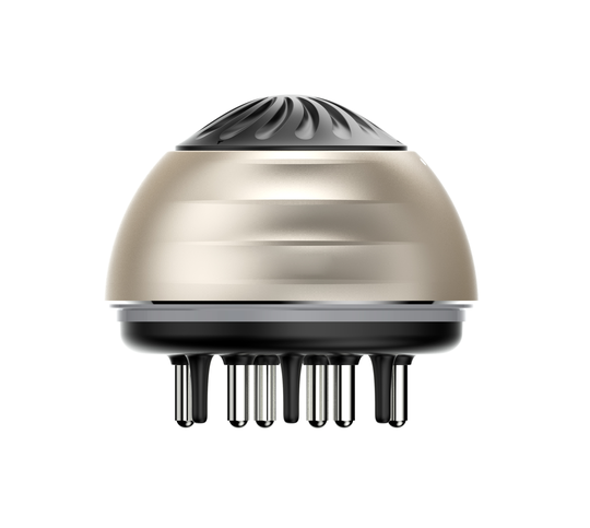 anti-Hair Loss Hair Scalp Massage Comb human hair extension tools With Nutrient Solution And Oil Bottle